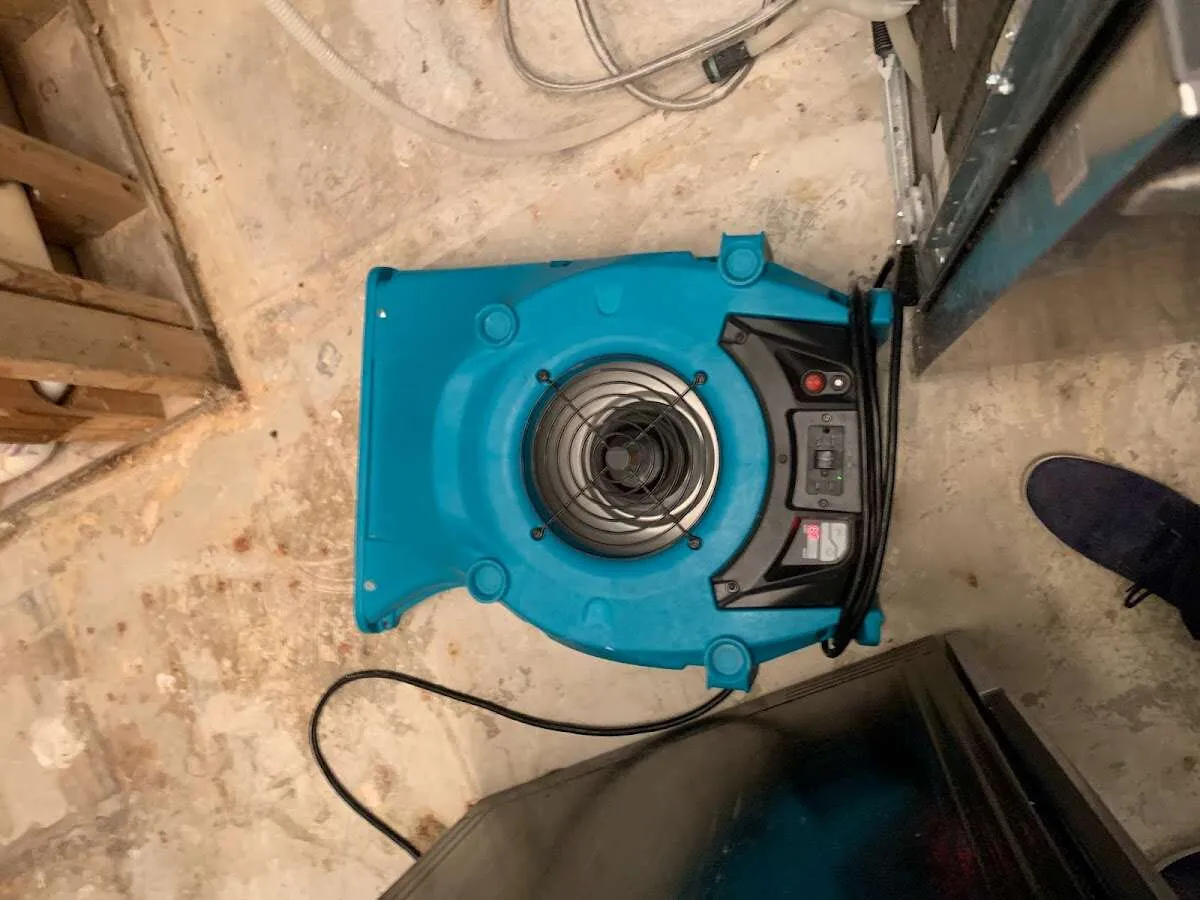 Air mover drying equipment for Mold Remediation & Removal in Doylestown
