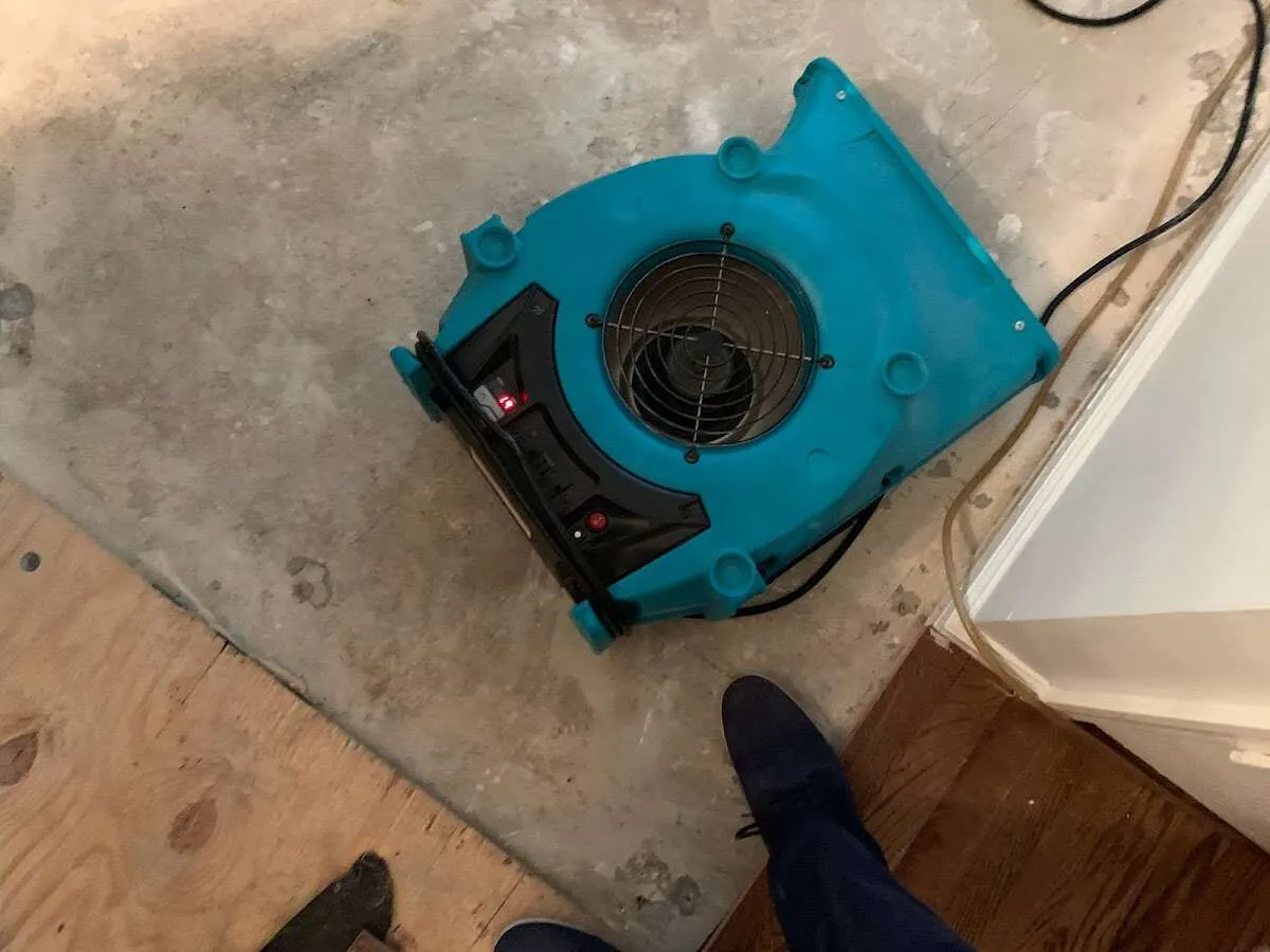 Air mover drying subfloor during Leak Detection & Repair in Doylestown